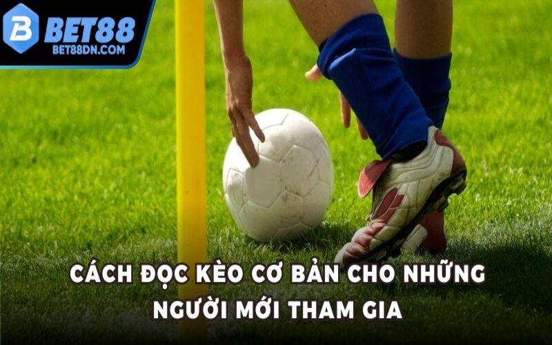 Cách đọc kèo cơ bản cho những người mới tham gia
