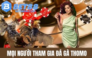 Đá Gà Thomo