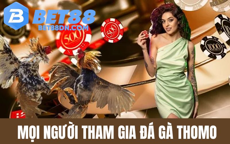 Đá Gà Thomo