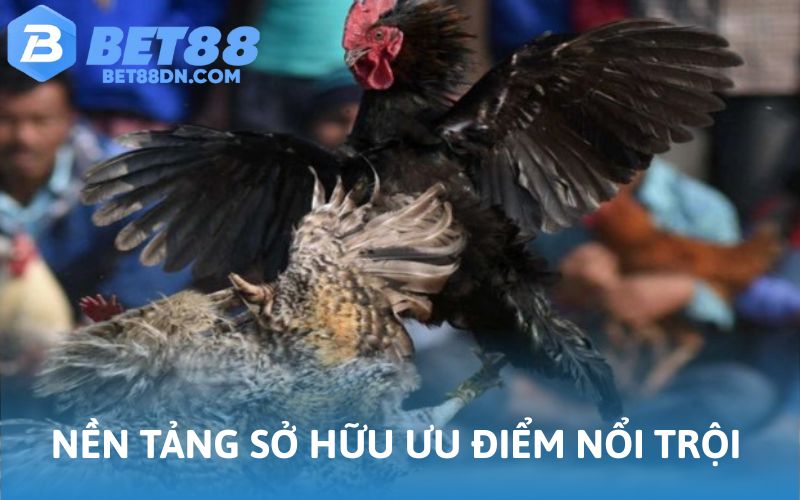 Nền tảng gây ấn tượng với ưu điểm nổi trội