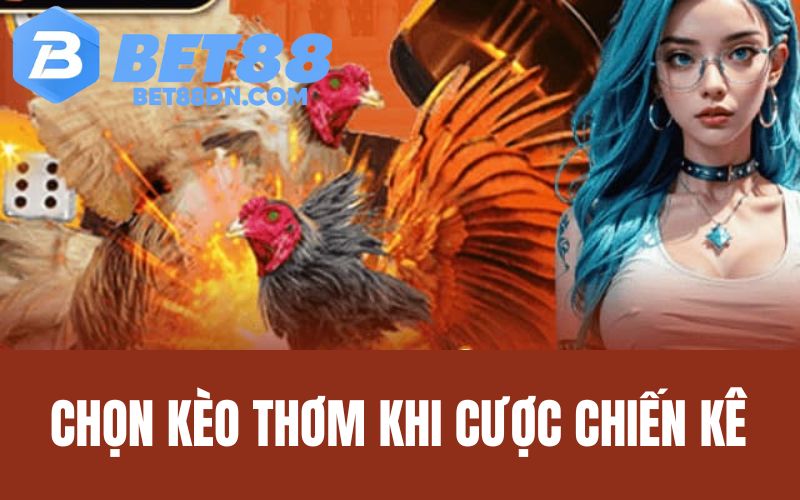 Người chơi chọn kèo thơm khi cược chiến kê