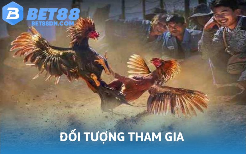 Nhà cái đưa ra yêu cầu về đối tượng tham gia