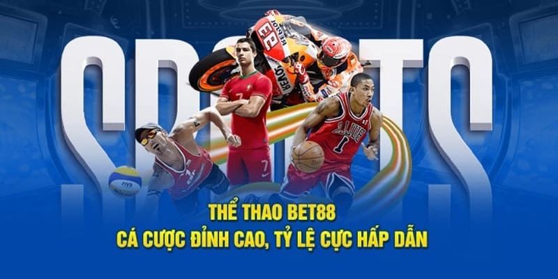 Sân chơi thể thao luôn là điểm đến hàng đầu của người hâm mộ