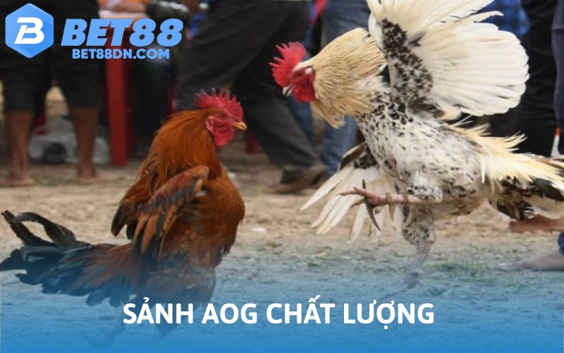 Sảnh AOG đảm bảo trải nghiệm trong mơ