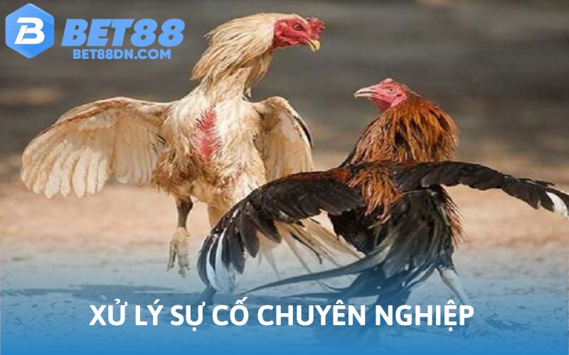 Sự cố được xử lý chuyên nghiệp nếu biết cách