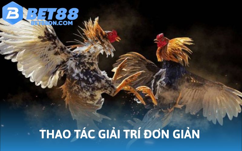 Thao tác cá cược đơn giản bởi hỗ trợ của nhà cái
